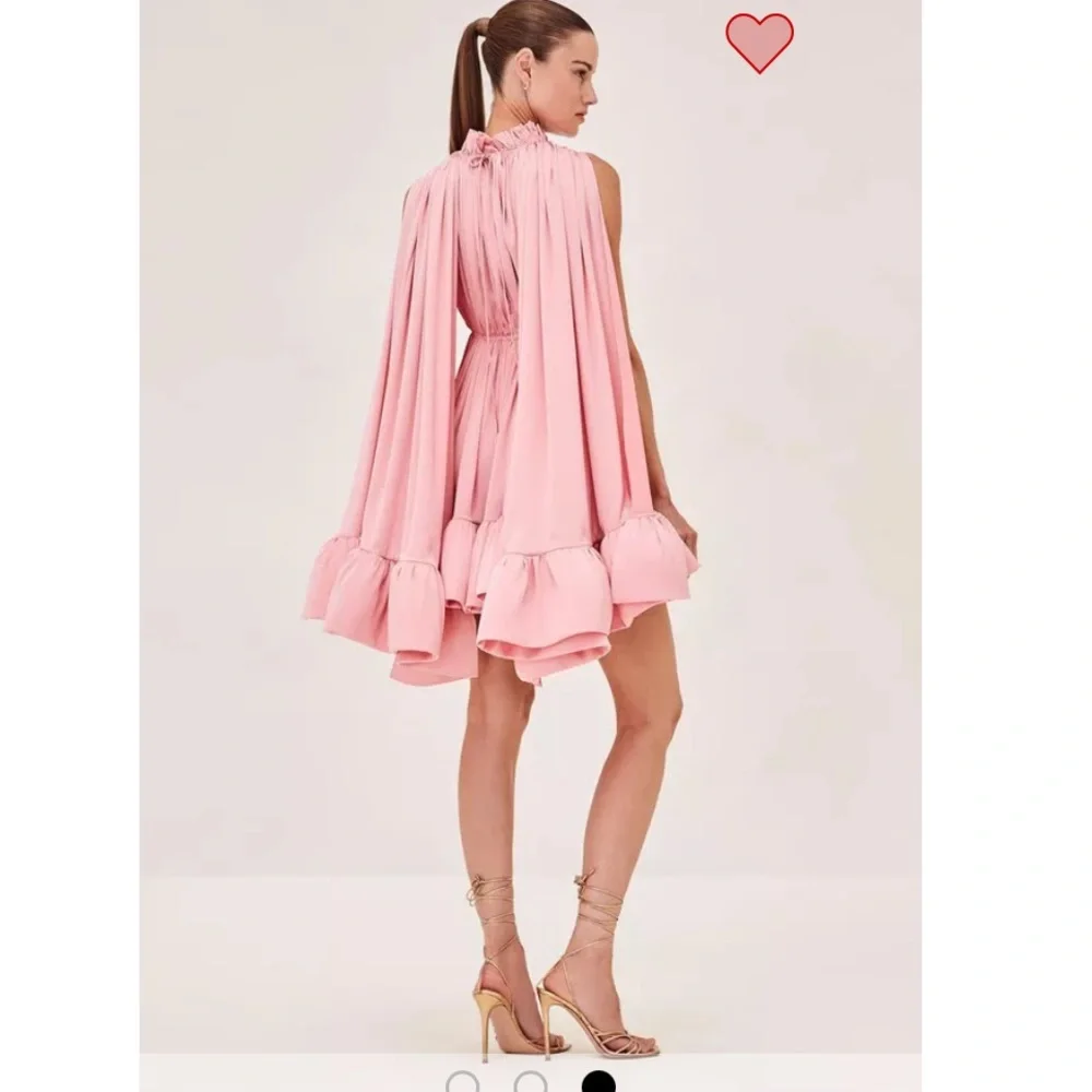 Alexis Lynda dress in french rose - Picture 3 of 5